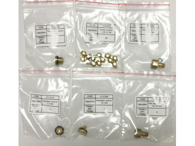 Kit Inyectores Transformación GN-GLP Calentador Thermor Iono Select