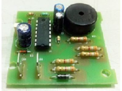 Control Plate Oven Convention Tecnoeka 